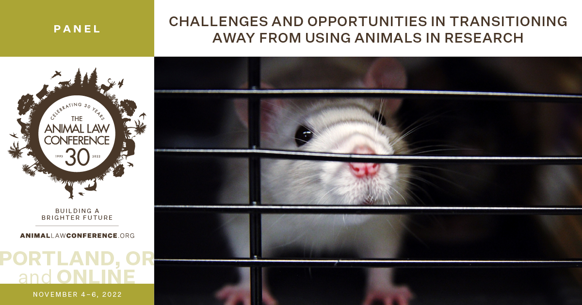 Challenges and Opportunities in Transitioning Away from Using Animals in Research