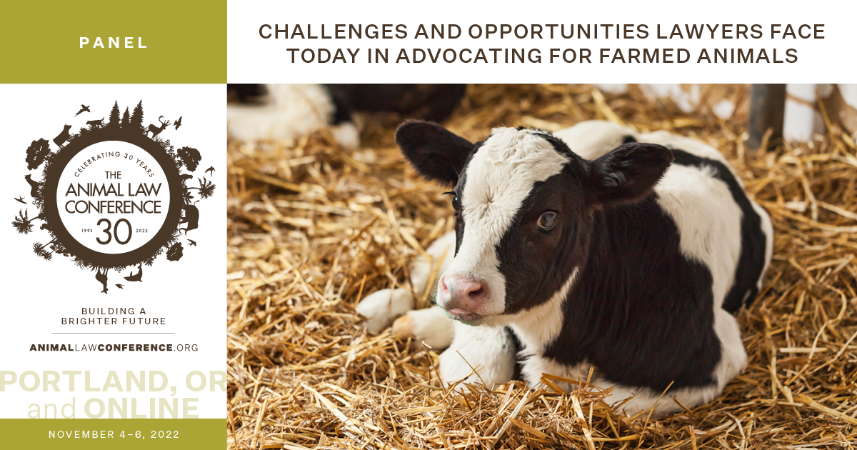 Challenges and Opportunities Lawyers Face Today in Advocating for Farmed Animals
