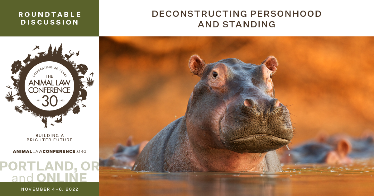 Deconstructing Personhood and Standing