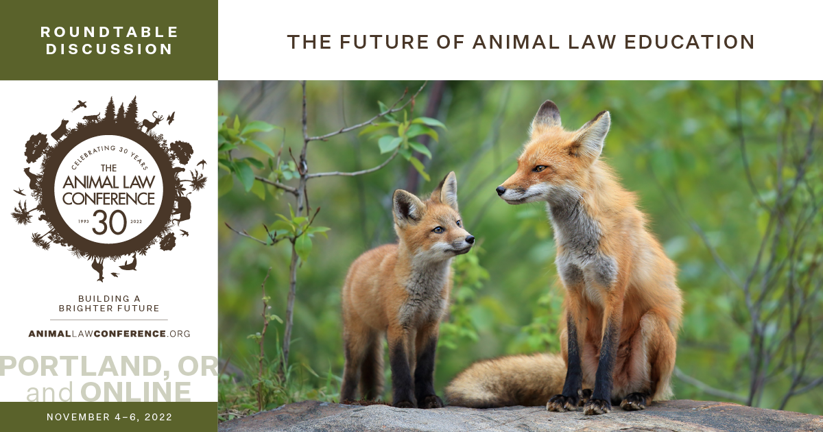 The Future of Animal Law Education & Youth Advocacy