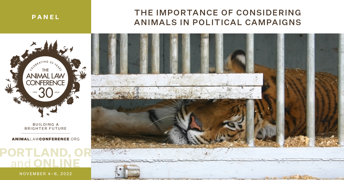 The Importance of Considering Animals in Political Campaigns