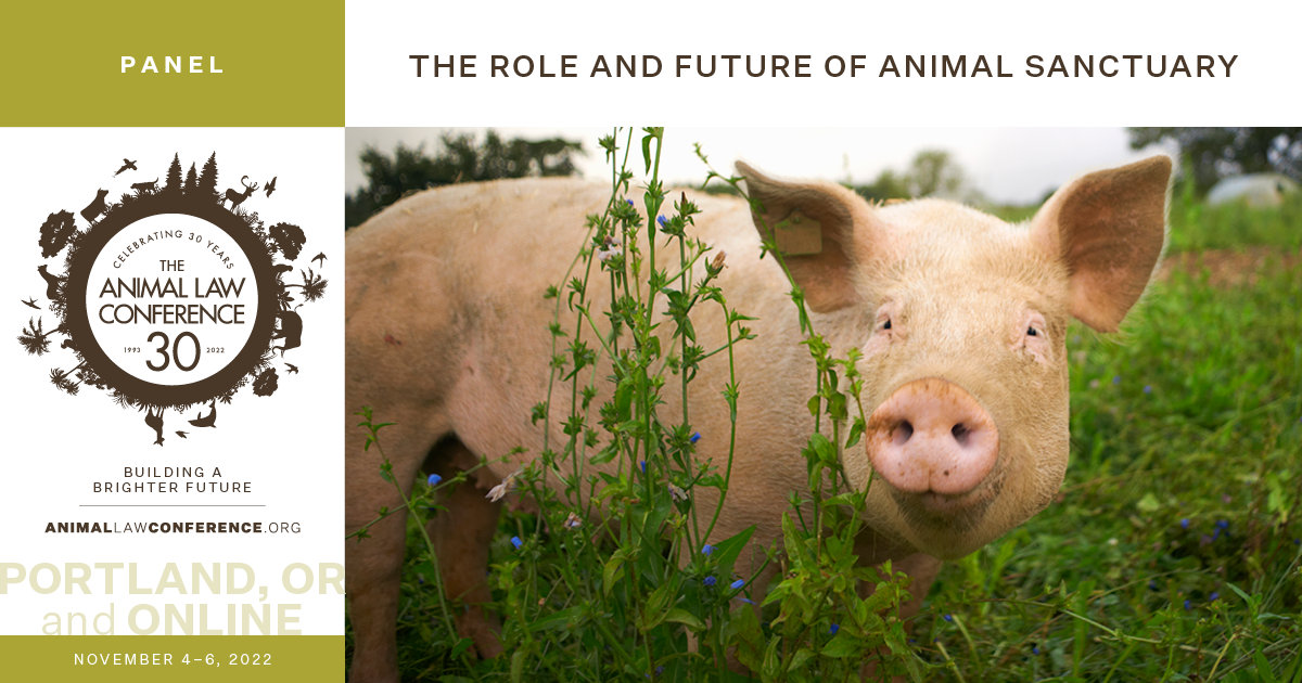The Role and Future of Animal Sanctuary
