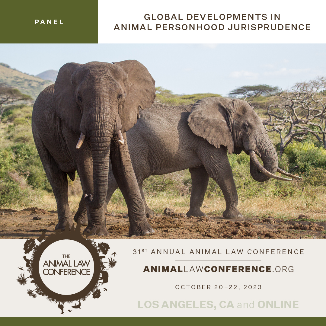 Anticipating Animal Law’s Intersectional Future