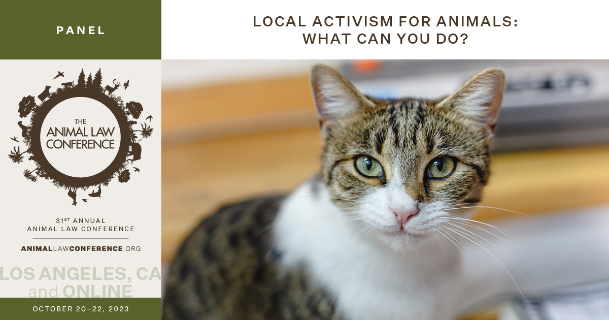 Local Activism for Animals: What Can You Do?