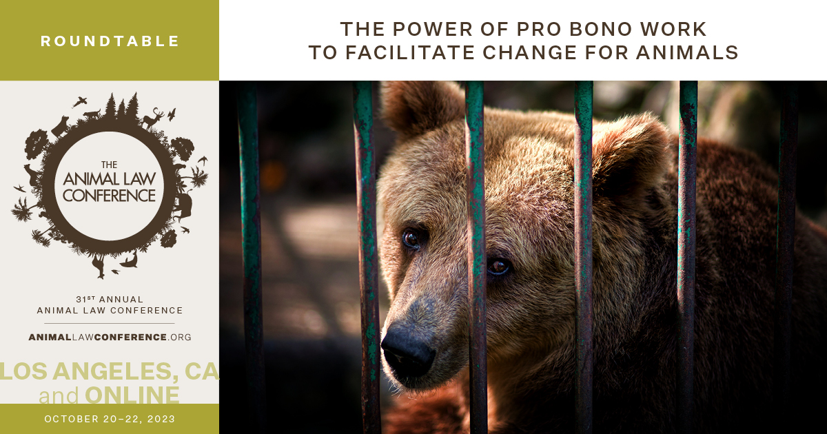 The Power of Pro Bono Work to Facilitate Change for Animals