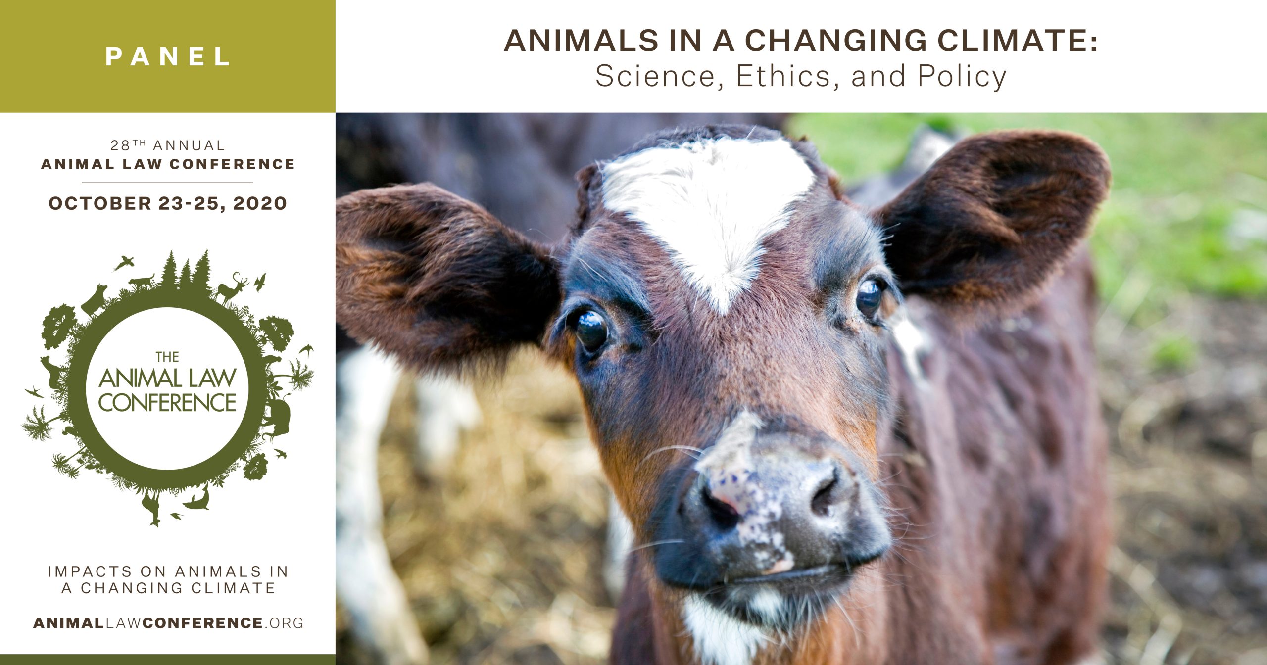 Animals in a Changing Climate: Science, Ethics, and Policy