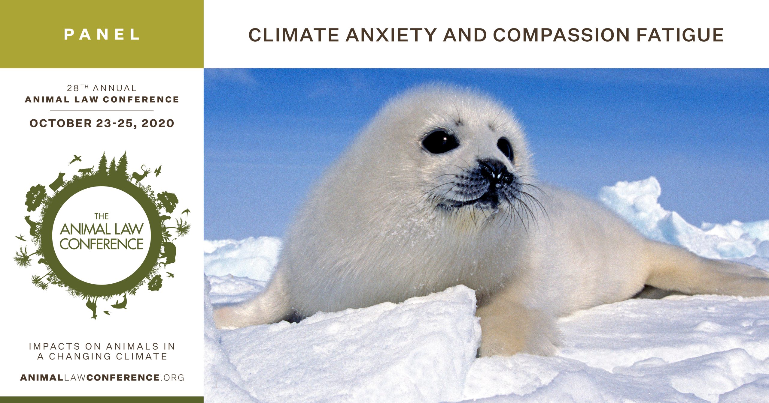 Climate Anxiety and Compassion Fatigue