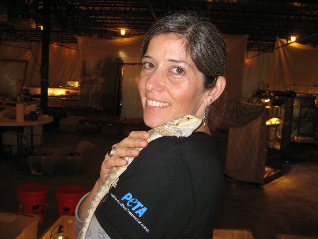 Daphna Nachminovitch - photo