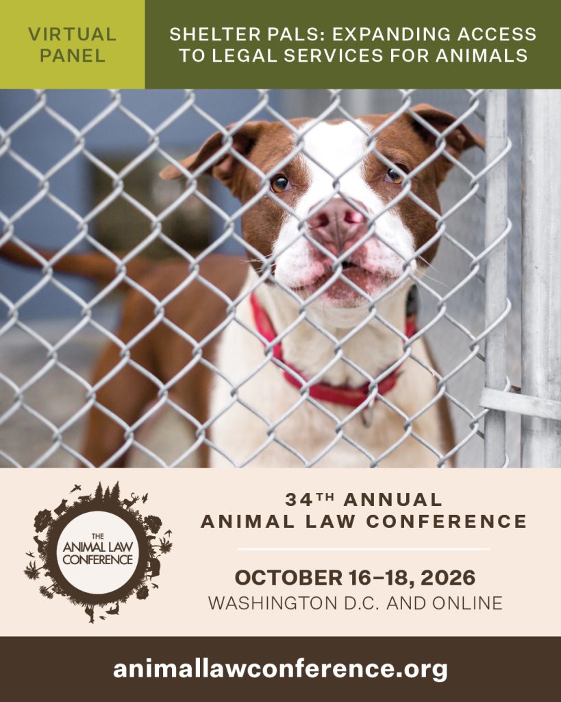 Shelter PALS: Expanding Access to Legal Services for Animals
