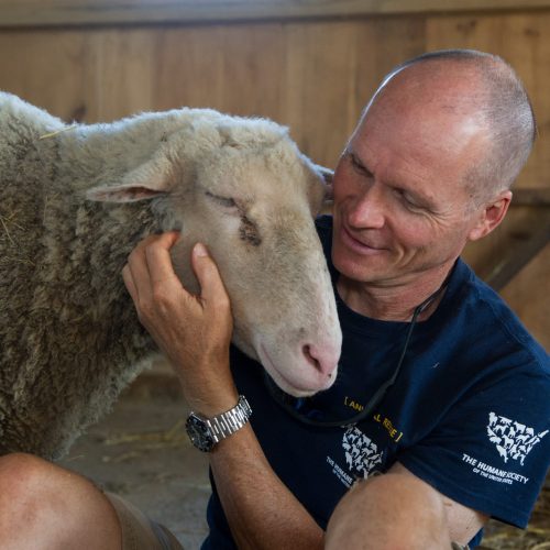 Portraits of Jonathan Balcombe