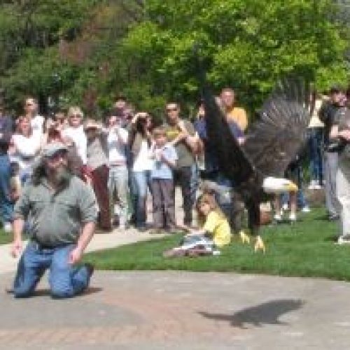 Bob Sallinger - photo