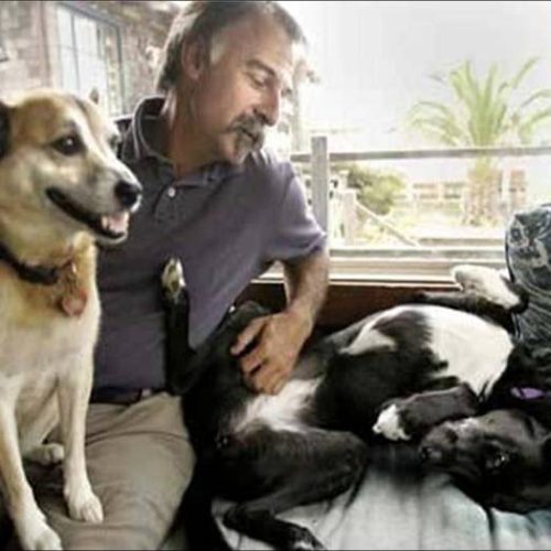 Bruce Wagman - photo