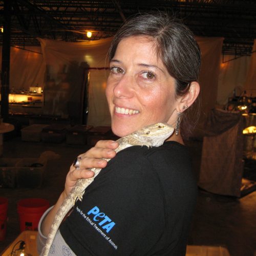 Daphna Nachminovitch - photo