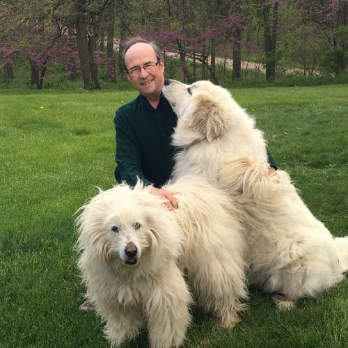 Favre & Dogs 2017