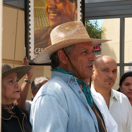 Jay Johnson-Castro Photo