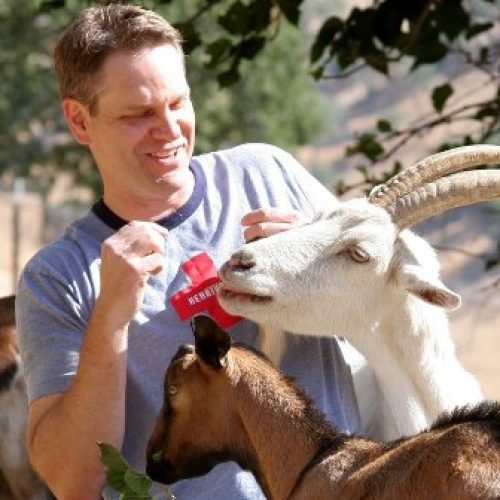 Mark Hawthorne photo